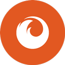 Fire Browser Pro aplikacja