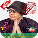 مرتضی پاشایی بدون اينترنيت - Morteza Pashaei Songs APK