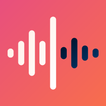 Recorder icon