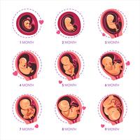 برنامه‌نما متابعة الحمل نمو الجنين حتى الولادة عکس از صفحه
