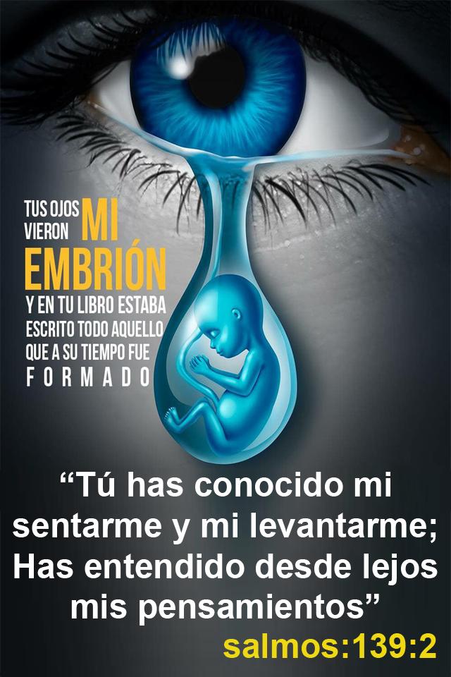 Frases De La Biblia Con Imágenes Para Reflexionar For Android Apk Download