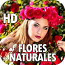 Rosas De Amor Y Amistad Gratis Naturales en HD APK