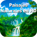 Paisajes Bonitos y Naturales Para Meditar Hoy APK