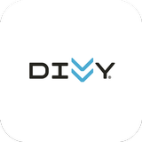 Divvy иконка