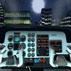 Pilot Flight Simulation
