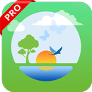 Motion Picture Pro : Cinemagraph Effect APK