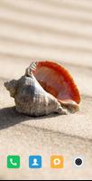 Perl & Shell HD Wallpaper plakat