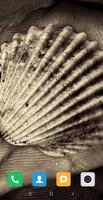 Perl & Shell HD Wallpaper screenshot 1