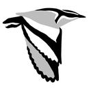 Birds of Africa APK