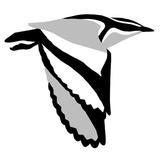 آیکون‌ Birds of Africa
