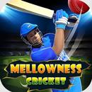 Mellowness Cricket APK