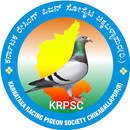 APK Chikaballapur Racing Pigeon So