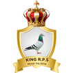 King Racing Pigeon Society