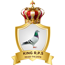 APK King Racing Pigeon Society