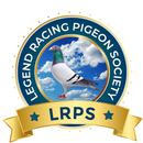 APK Legend Racing Pigeon Society
