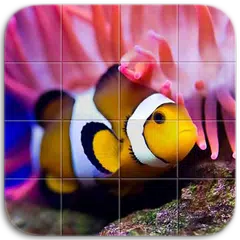 Marine Life Puzzle APK download