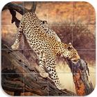 Animals Puzzle biểu tượng