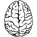 brain test