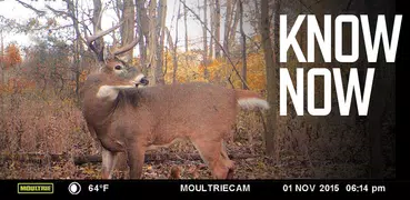 Moultrie