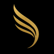 VOE icon
