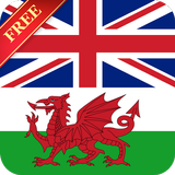 Offline English Welsh Dictionary ícone