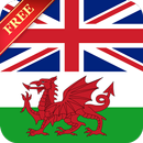 Offline English Welsh Dictionary APK