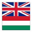 English Hungarian Dictionary-APK