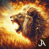 Safari 2 APK