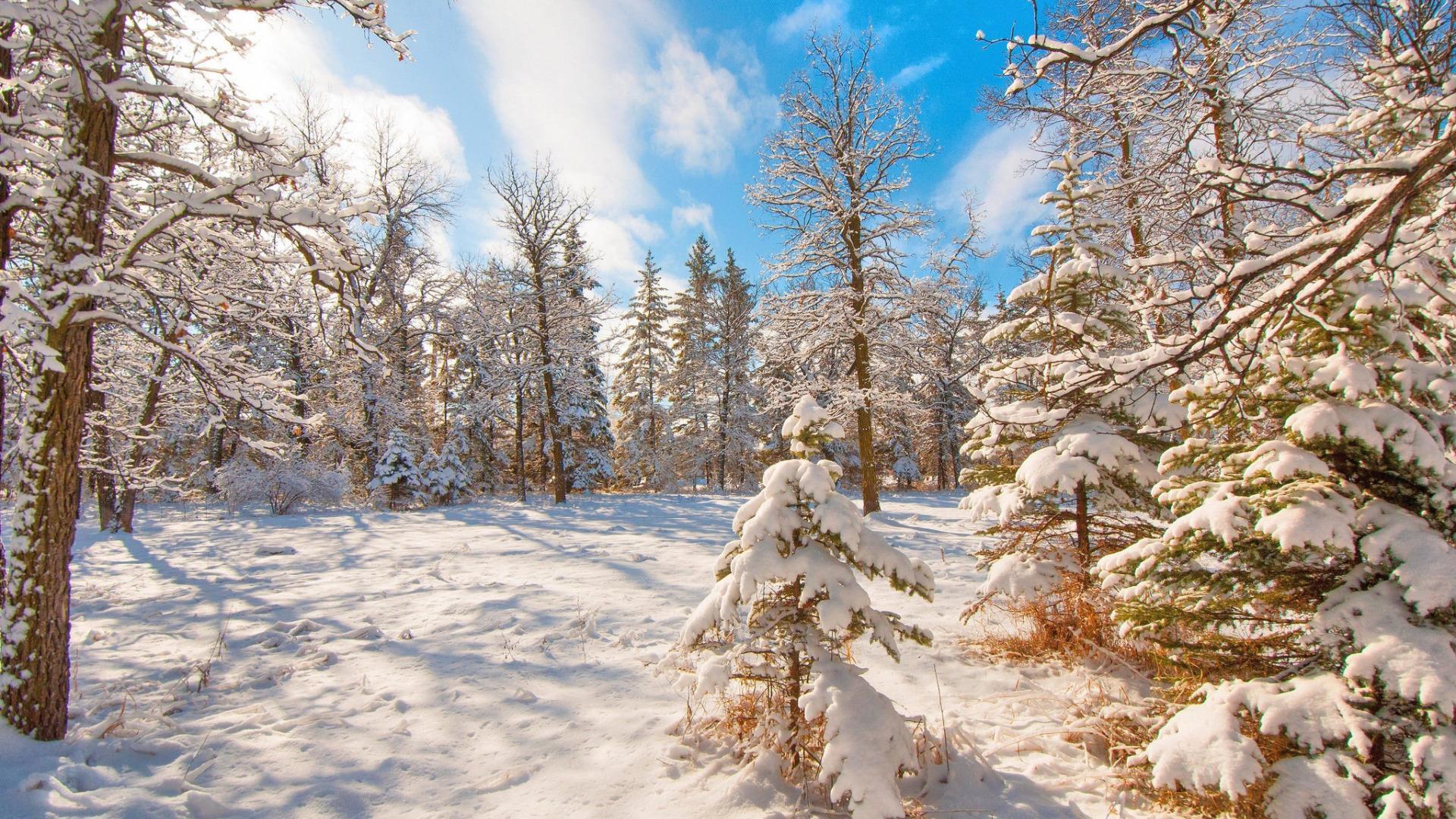 Winter Live Wallpaper Fur Android Apk Herunterladen