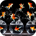 Gold Fish Live Wallpaper : 7fon & LWP