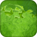 Green Live Wallpaper : 7fon & LWP