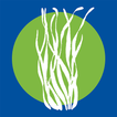 آیکون‌ Seagrass PH