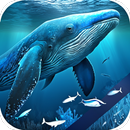 Blue Whale Video Wallpapers APK