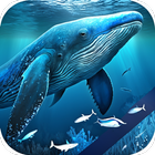 Blue Whale Video Wallpapers icône
