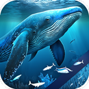 Blue Whale Video Wallpapers-APK