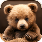 Cute Bear Video Live Wallpaper آئیکن