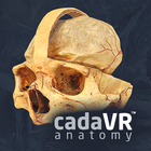 cadaVR anatomy 圖標