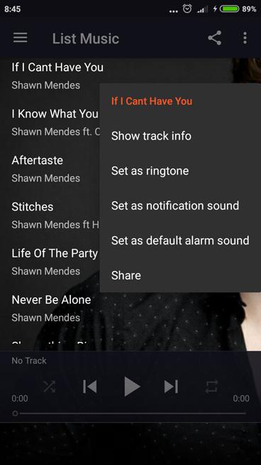 Shawn Mendes-Free MP3 ( Song Offline) for Android - APK Download