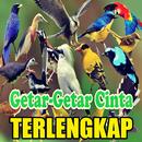 1000+ Suara Kicau Burung MP3 APK