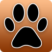 Music Video Downloader Mp3paw