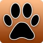 Music Video Downloader Mp3paw icon