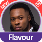 Flavour أيقونة