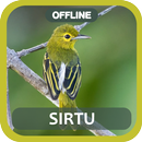 Masteran burung Sirtu gacor APK