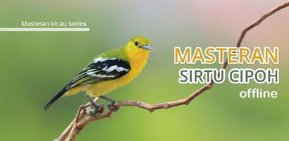Masteran burung Sirtu gacor Plakat