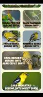 Masteran burung Sirtu gacor Screenshot 1
