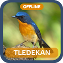 Master Tledekan Gacor Offline APK