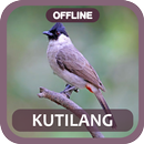 Masteran burung kutilang gacor APK