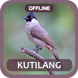 Masteran burung kutilang gacor icon