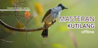 Masteran burung kutilang gacor Affiche