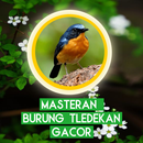 Masteran Burung Tledekan Gacor APK